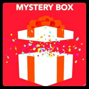 Mystery Box with Name Brand New with Tags items